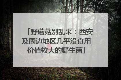 野蘑菇别乱采：西安及周边地区几乎没食用价值较大的野生菌